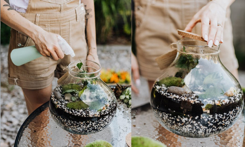 Water-and-Seal-Your-Terrarium