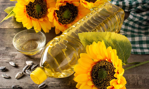 Sunflower Oil