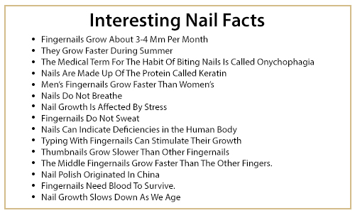 Interesting Nail Facts