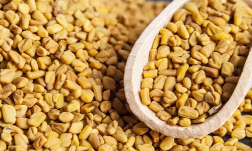 Consume-Fenugreek-Seeds