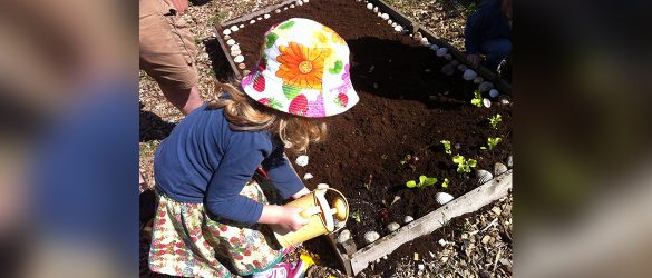 Gardening with kids