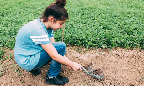 Prepare Your Garden Space