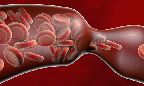 Vasoconstriction During an Ice Bath