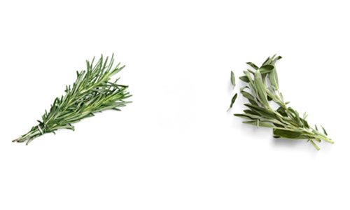 Rosemary and Sage Hair Rinse