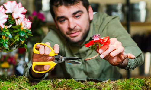 why-should-you-start-a-cutting-garden