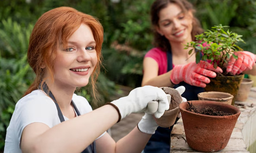 The-Emotional-Connection-to-Your-Cutting-Garden.