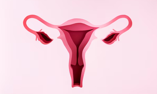 What-healthy-uterus-is-so-special