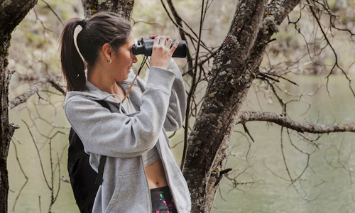 Ornithologist jobs for travel lovers